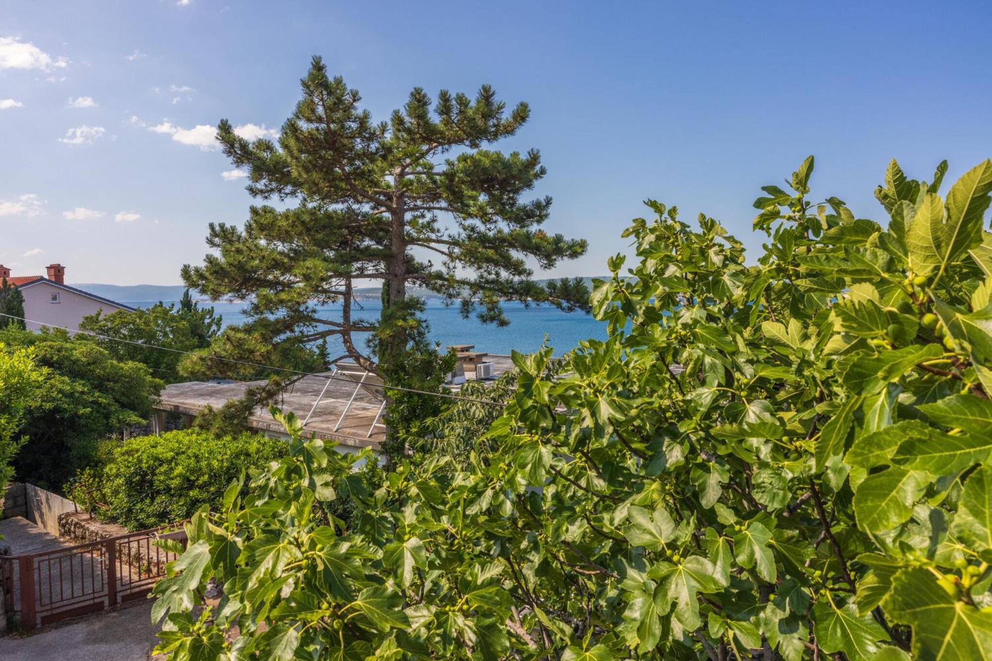 Apartmani Azur Dramalj Exteriör bild